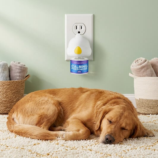 Furthrive Calming Diffuser