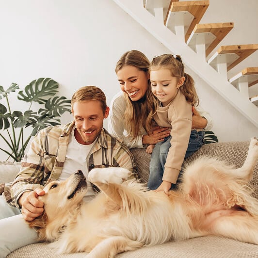 Furthrive Calming Diffuser