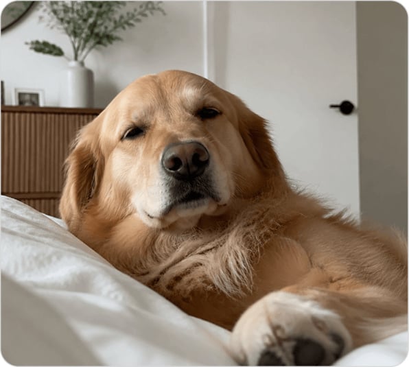 Furthrive Calming Diffuser user Jason M.